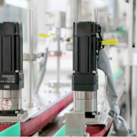 Máquina automática de tapação de cabeças duplas FXG-2E 2500BPH